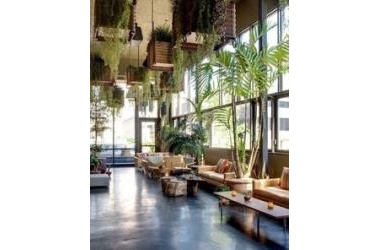 Coffee Shop